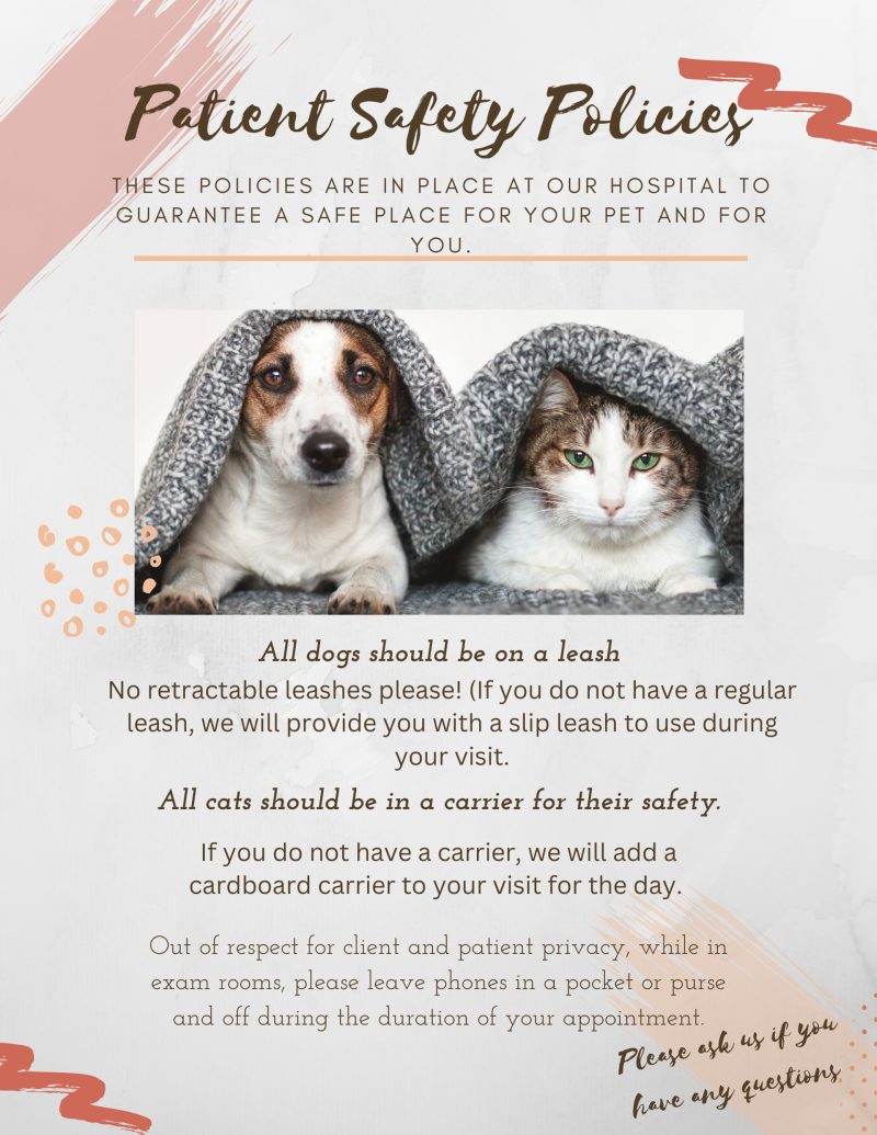 Patient Safety Policies Vet in Honeoye Falls Honeoye Falls